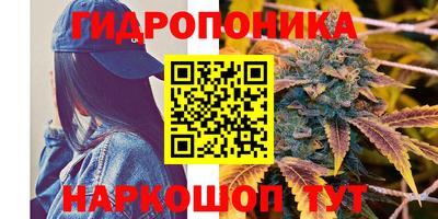 спиды Бузулук