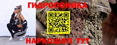 амф Будённовск